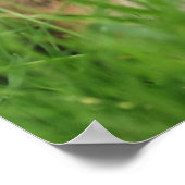 Poster jour des terres Chipmunk (Coin)