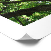 Poster jour des terres Plante-A-Arbre (Coin)