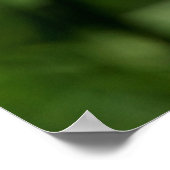 Poster Jour d'été (Coin)