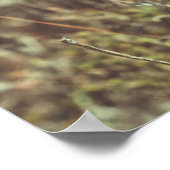 Poster Jour d'été sur la côte (Coin)