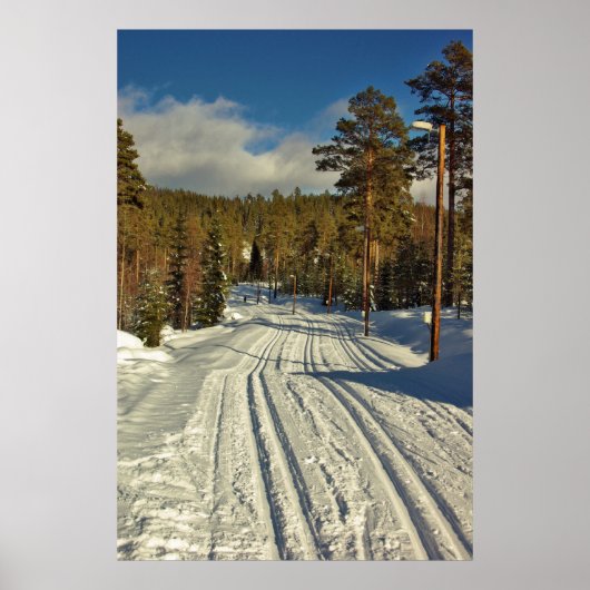 Poster Jour d'hiver en Suède (Devant)