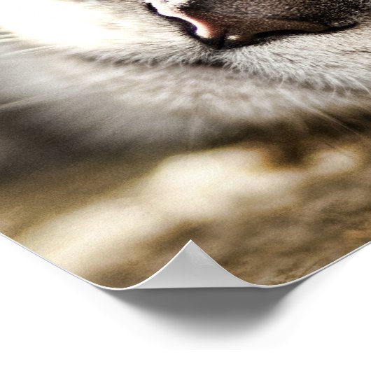 Poster Jour difficile (Coin)