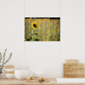 Poster Jour du tournesol (Cuisine)