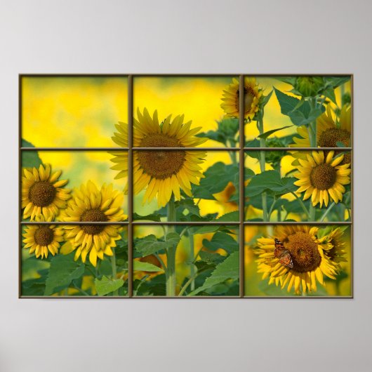 Poster Jour ensoleillé (Devant)