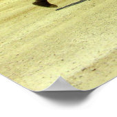 Poster Jour heureux - chameaux dans le désert (Coin)