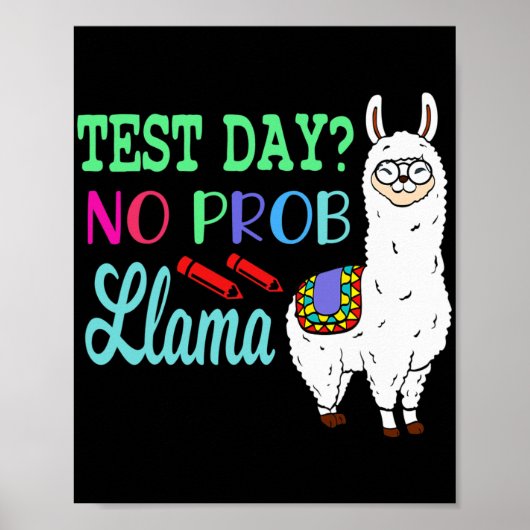 Poster Jour No Prob Llama Jour d'essai Aucun problème Jou (Devant)
