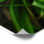 Poster Jour : Orange (Coin)