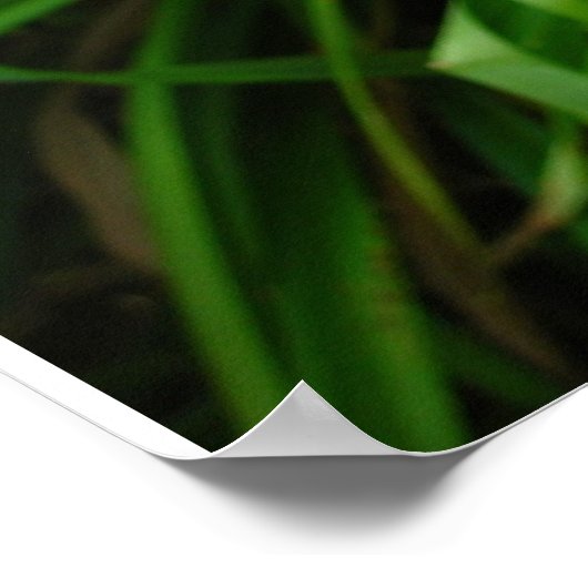 Poster Jour : Orange (Coin)