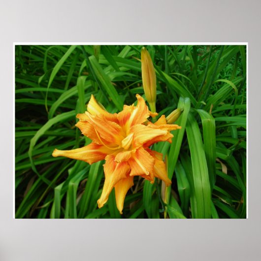 Poster Jour : Orange (Devant)