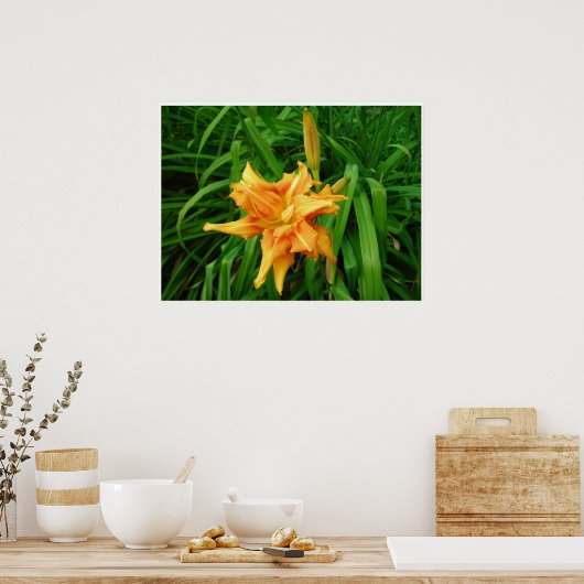 Poster Jour : Orange (Cuisine)