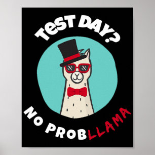 Poster Jour Pas De Problème Drôle Test Llama Design