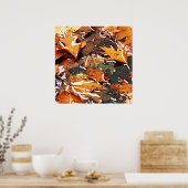 Poster Jour Pluvieux Feuilles (Cuisine)