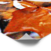 Poster Jour Pluvieux Feuilles (Coin)