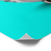 Poster Jour Turquoise de la Chouette du Crâne Morte Choue (Coin)