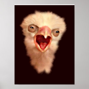 Poster Jour Vieux Faucon Chousse