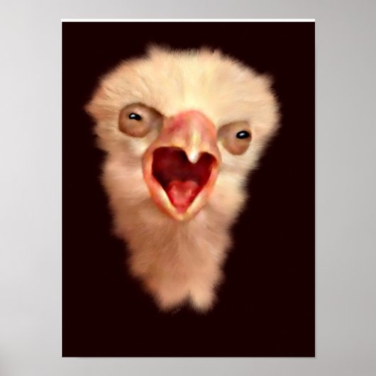 Poster Jour Vieux Faucon Chousse (Devant)