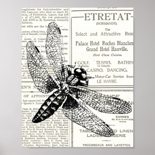 Poster Journal vintage Retro Insect noir et blanc (Devant)