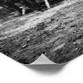 Poster Journalisme intégré, 1863 (Coin)