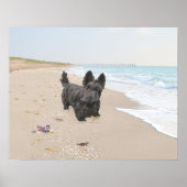 Poster Journée à la plage (Devant)