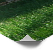 Poster Journée commémorative (Coin)