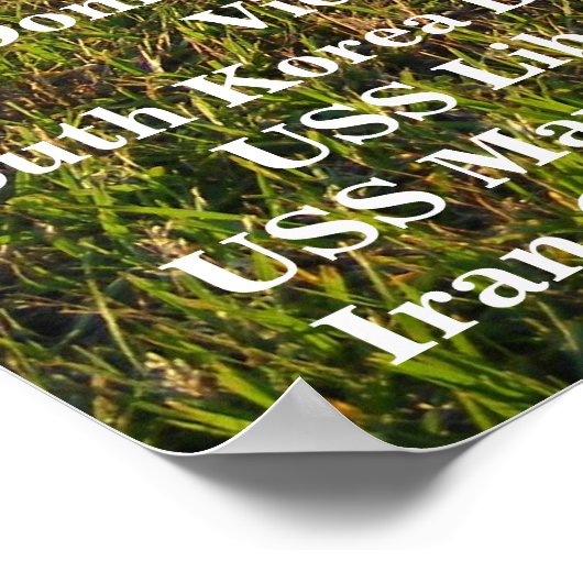 Poster Journée commémorative (Coin)