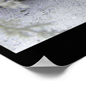 Poster Journée de sensibilisation au requin, requin de ré (Coin)