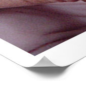 Poster "Journée des cheveux morts" (Coin)