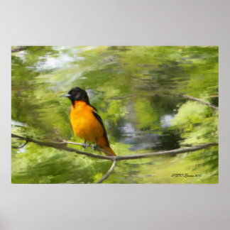 Poster Journée des Orioles de BaltimoreDream