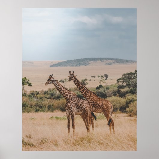 POSTER JOURNÉE MONDIALE DE LA FAUNE (Devant)