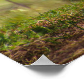 Poster journée paresseuse (Coin)