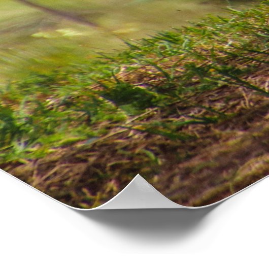 Poster journée paresseuse (Coin)