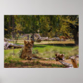 Poster journée paresseuse (Devant)