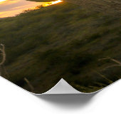 Poster Jours de cactus (Coin)