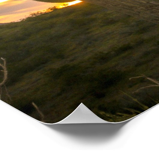 Poster Jours de cactus (Coin)