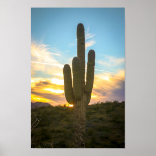 Poster Jours de cactus