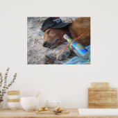 Poster Jours de chien (Cuisine)