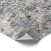 Poster Jours de chien (Coin)