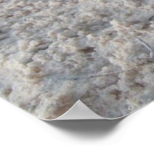 Poster Jours de chien (Coin)