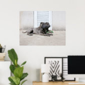 Poster Jours de chiens d'été.... (Bureau à domicile)