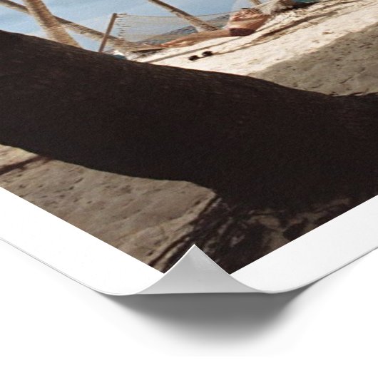 Poster Jours de palmiers laïcs (Coin)