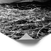 Poster Jours d'été (Coin)