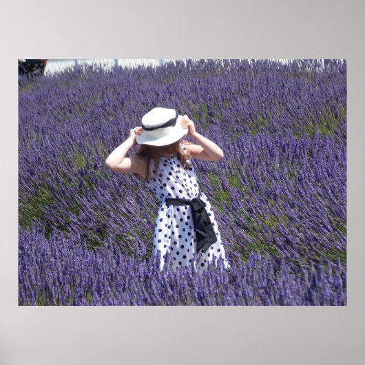 Poster Jours Lavender (Devant)