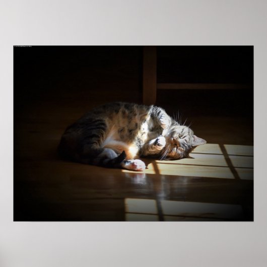 Poster Jours Lents, (Devant)