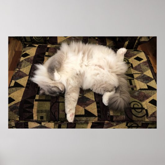 Poster Jours Lents, (Devant)