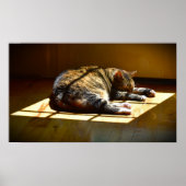 Poster Jours Lents, (Devant)