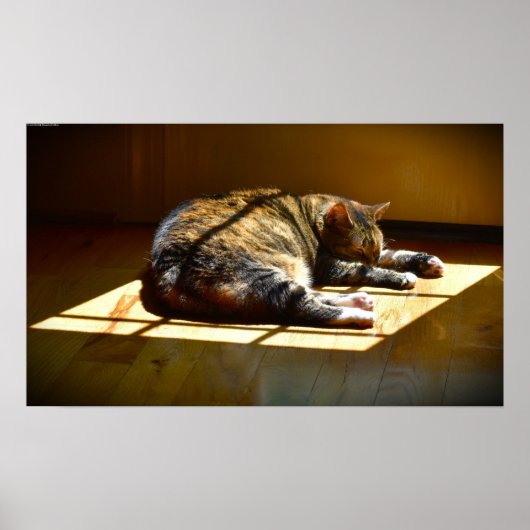 Poster Jours Lents, (Devant)