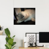 Poster Jours Lents, (Bureau à domicile)