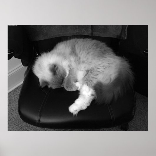 Poster Jours Lents, (Devant)