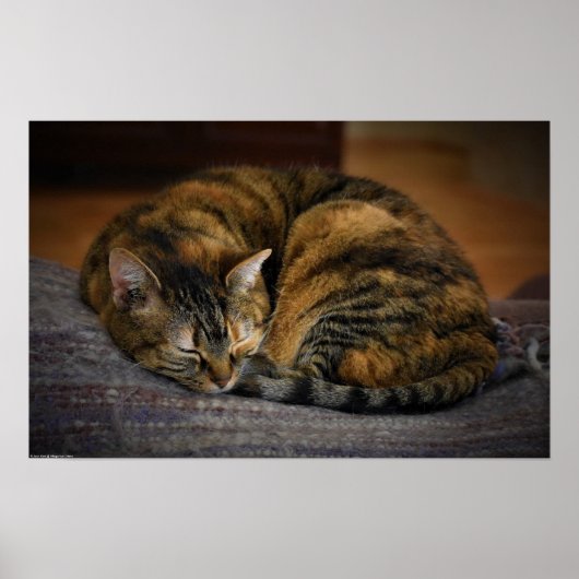 Poster Jours Lents, (Devant)