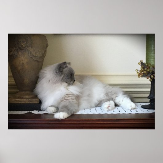 Poster Jours Lents, (Devant)